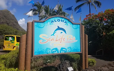 Sea Life Park Hawaii image