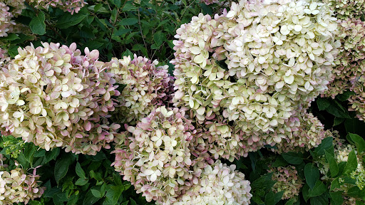 Golf Club «Hackensack Golf Club», reviews and photos, 880 Soldier Hill Rd, Emerson, NJ 07630, USA