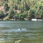 Photo n°1 de l'avis de Leonore.. fait le 07/08/2018 à 09:12 sur le  Gaststätte Oberland - Gabi & Axel Herrmann à Wilhelmsdorf