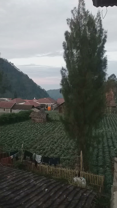 Kampung Qur'an Bromo PPPA