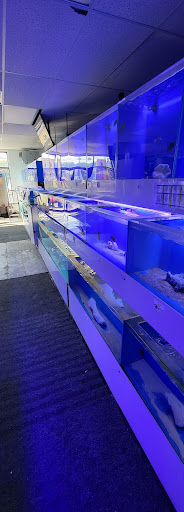 Tropical Fish Store «Aquarium Care Center», reviews and photos, 1105 NJ-35, Ocean Township, NJ 07712, USA
