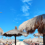 Photo n°1 de l'avis de Marco.a fait le 01/09/2022 à 18:20 sur le  Ristorante Pizzeria Il Moro à Pescara