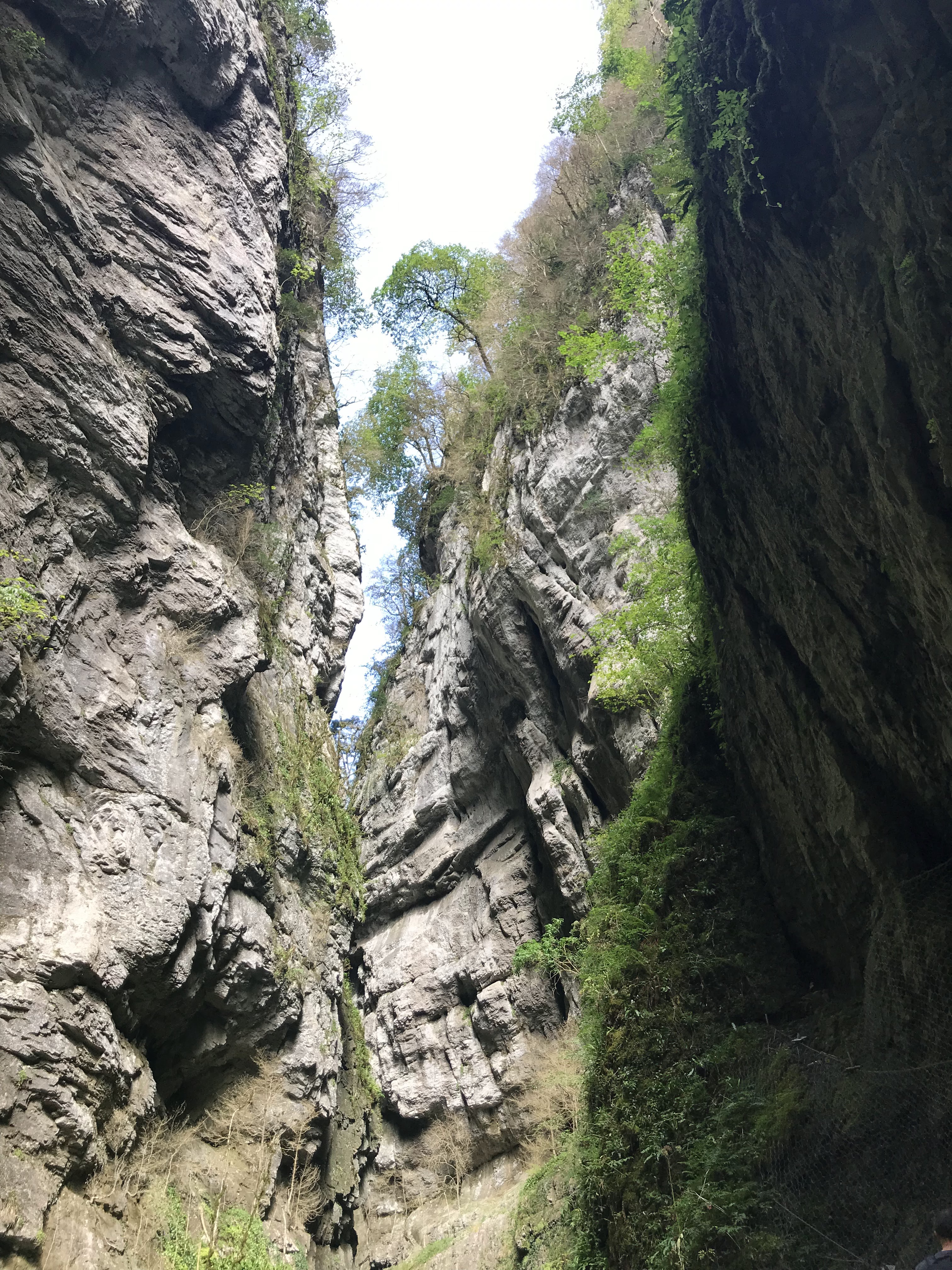 Photo n° 2 de l'avis de gaelle.e fait le 15/09/2019 à 14:33