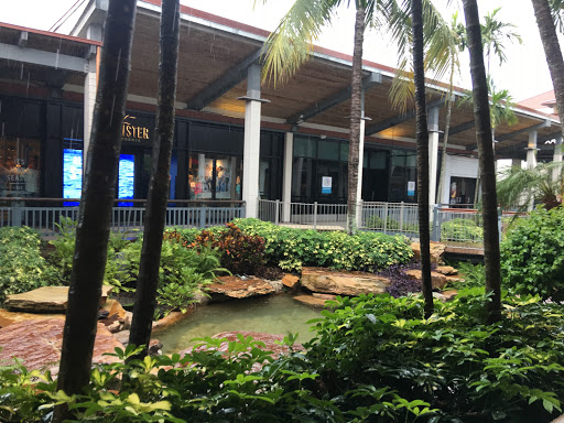 Clothing Store «Hollister Co.», reviews and photos, 8888 SW 136th St #550, Miami, FL 33176, USA