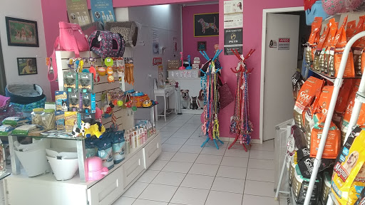 Logo da empresa - Pet Blu Shop