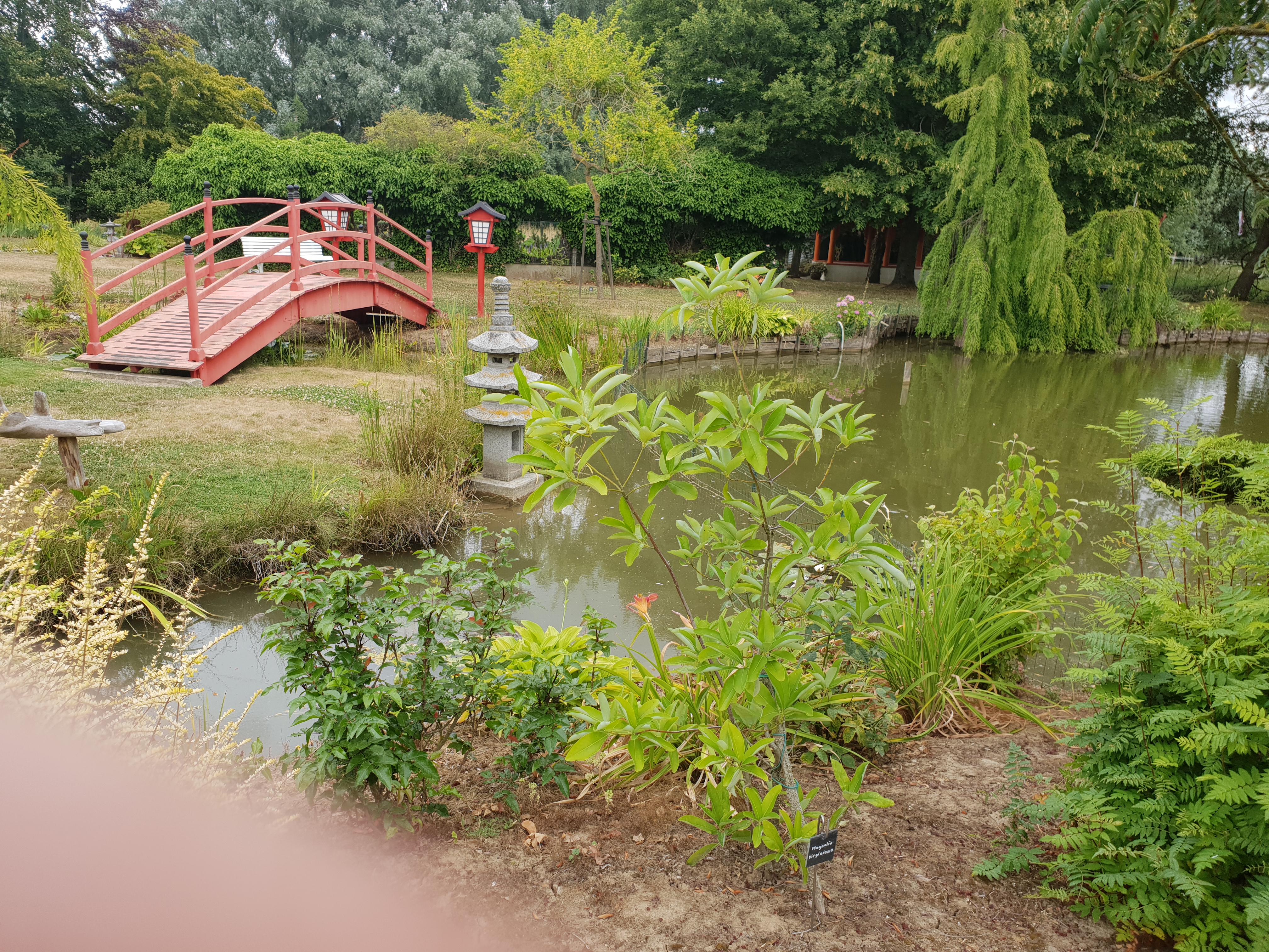 Photo n° 2 de l'avis de Géraldine.I fait le 22/07/2023 à 18:16