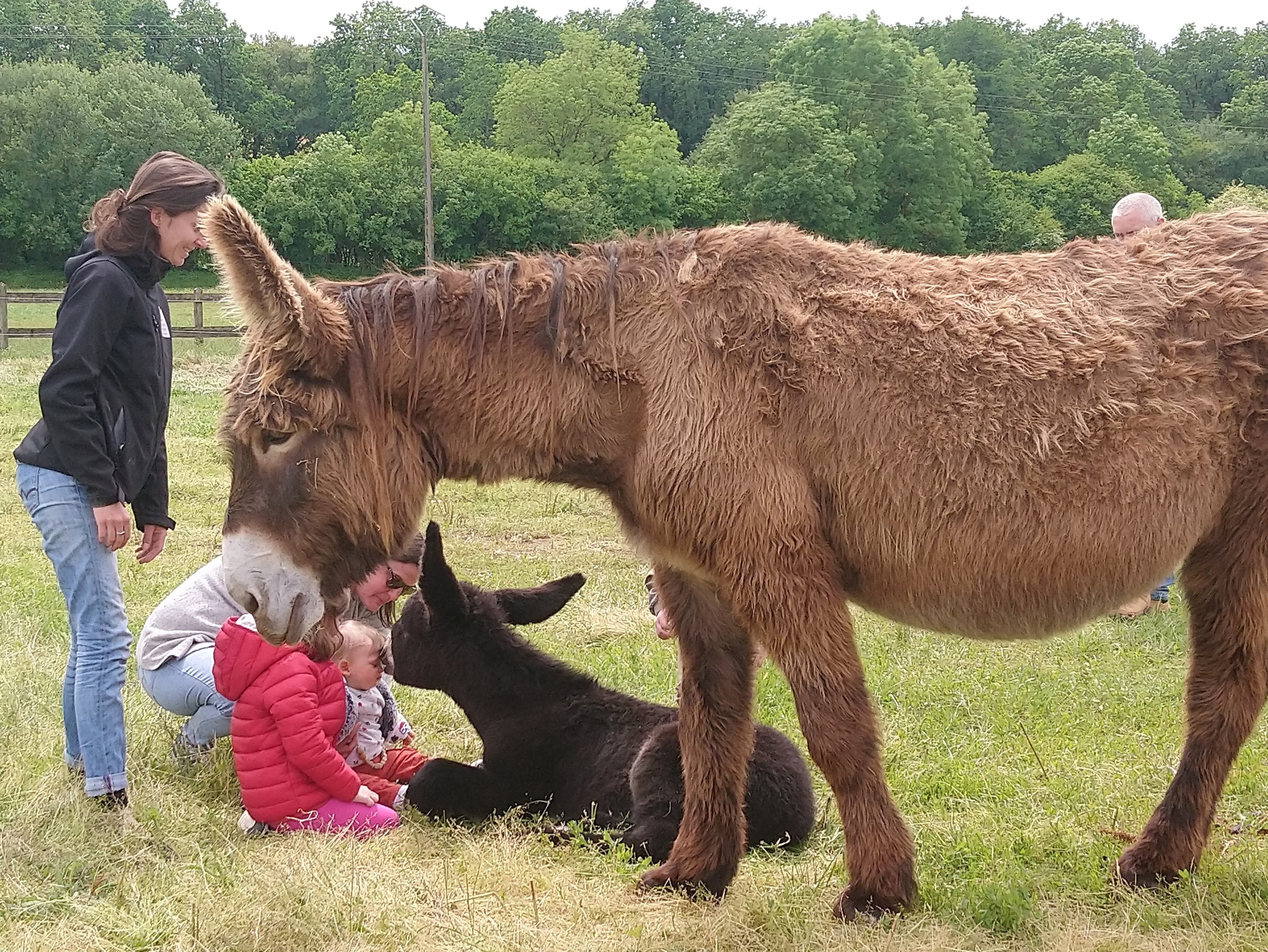 Photo n° 1 de l'avis de Dominique.o fait le 23/05/2023 à 09:03