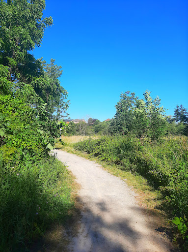 Fletcher's Flats (Formerly Old Meadowvale Conservation Area)