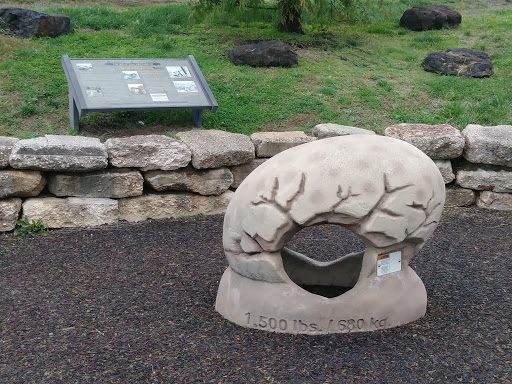 Park «Dinosaur Park», reviews and photos, 13100 Mid Atlantic Blvd, Laurel, MD 20708, USA