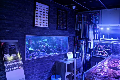 Pet Store «Strictly Fish», reviews and photos, 8373 SW 40th St, Miami, FL 33155, USA