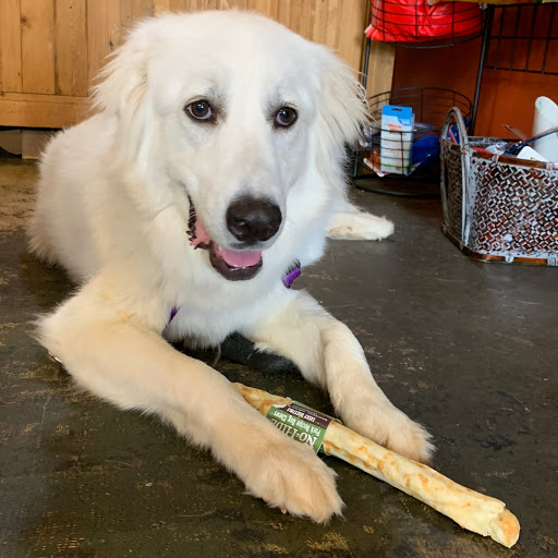 Pet Supply Store «Goin To the Dogs & Cats Pet», reviews and photos, 814 Wellman Ave NE, Huntsville, AL 35801, USA