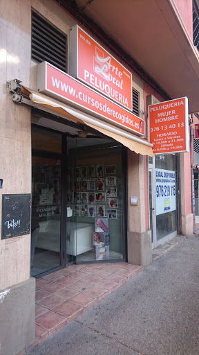 Arte Local en Zaragoza, Zaragoza