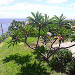 Photo n°10 de l'avis de DONATELLA. fait le 22/08/2022 à 20:34 sur le  Quinta Golfinho Apartments à Arco da Calheta