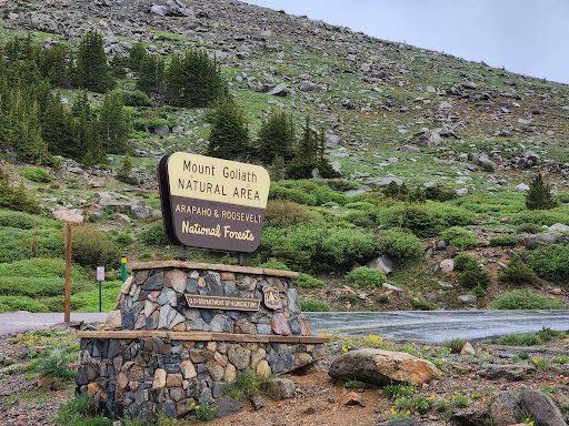 Nature Preserve «Mount Goliath Natural Area», reviews and photos, Mt Evans Rd, Evergreen, CO 80439, USA
