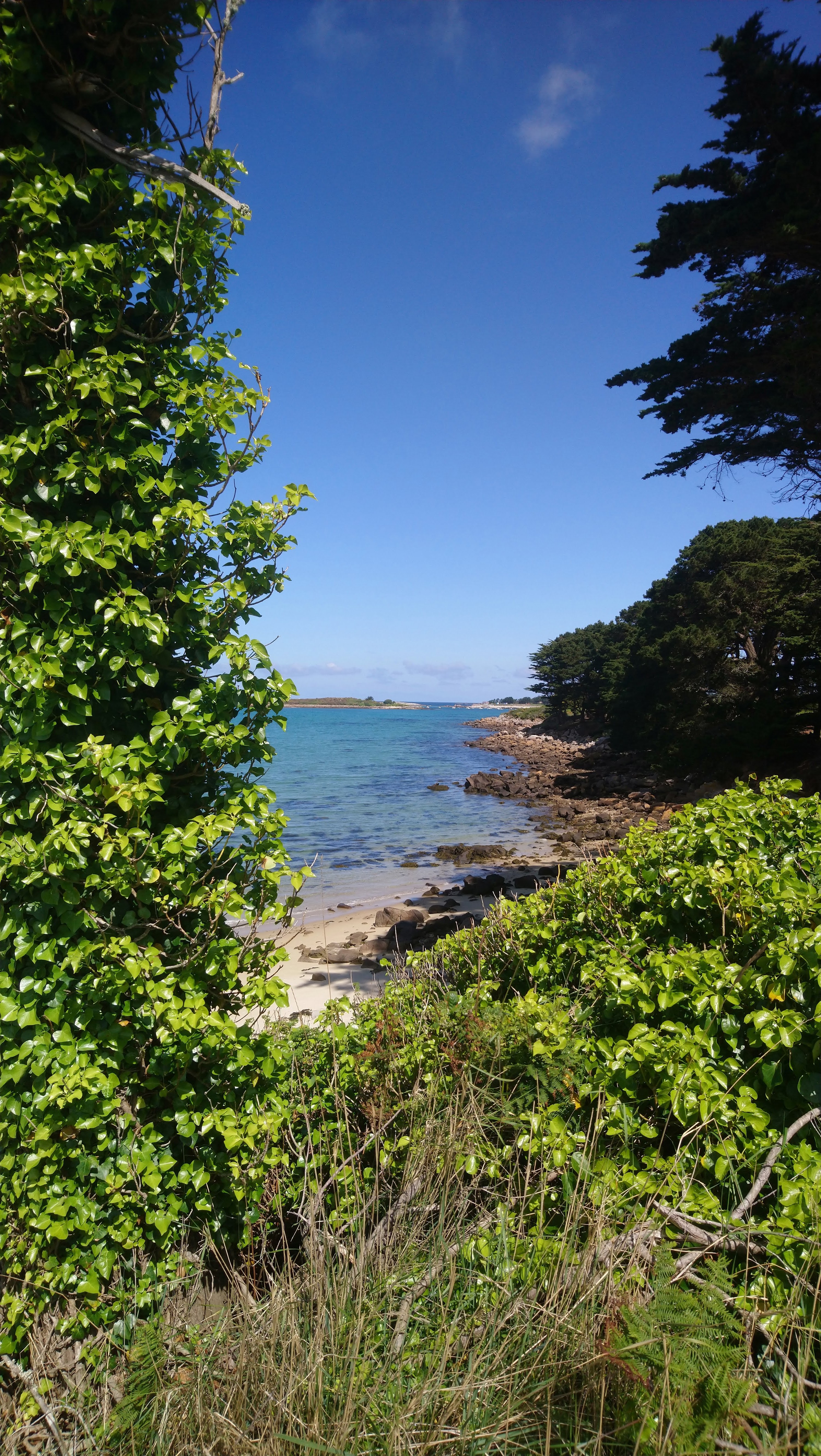 Photo n° 3 de l'avis de Jérôme.t fait le 12/05/2019 à 22:12