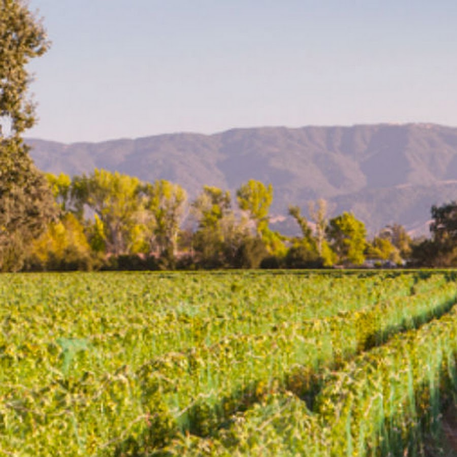 Roblar Winery and Vineyards - Santa Ynez Estate Tasting Room