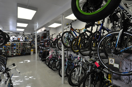 Bicycle Store «Takoma Bicycle», reviews and photos, 7030 Carroll Ave, Takoma Park, MD 20912, USA