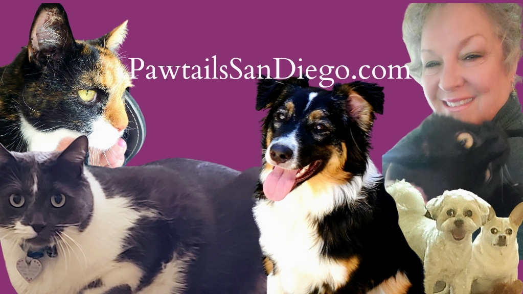 Pawtails Pet Sitting Services