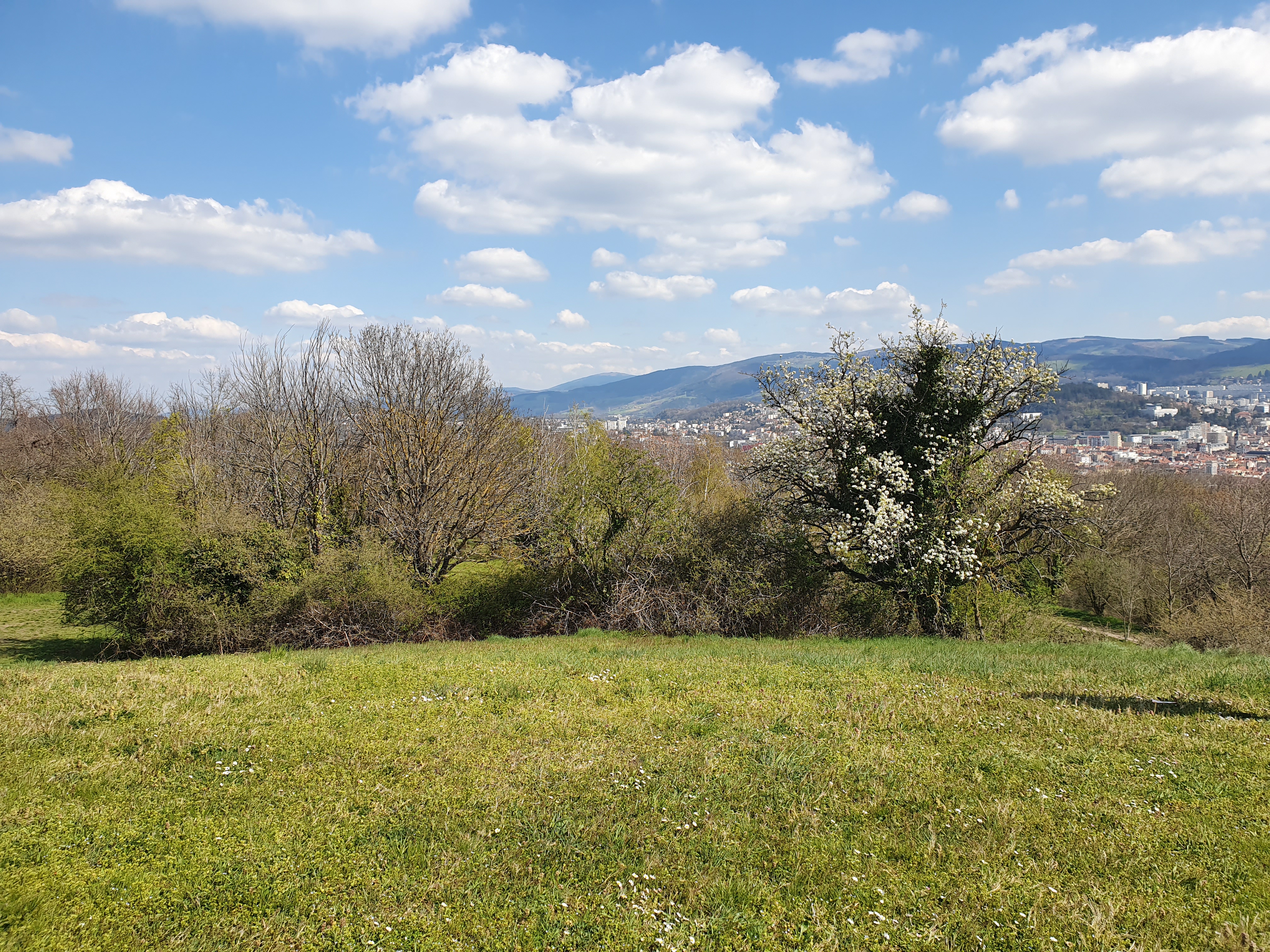 Photo n° 3 de l'avis de Daniele.o fait le 18/04/2021 à 08:35