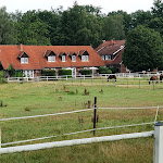 Photo n°2 de l'avis de Hans.o fait le 06/08/2019 à 17:14 sur le  Restaurant Landliebe à Südheide