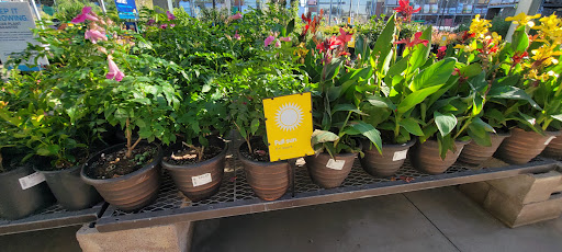 Electronics Store «Best Buy», reviews and photos, 13711 W Bell Rd, Surprise, AZ 85374, USA