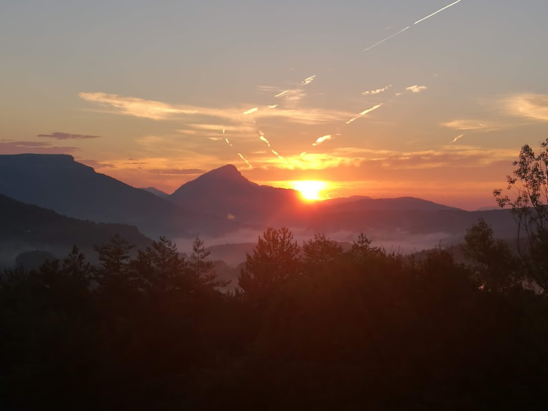 Photo n° 3 de l'avis de V. fait le 31/08/2018 à 09:39
