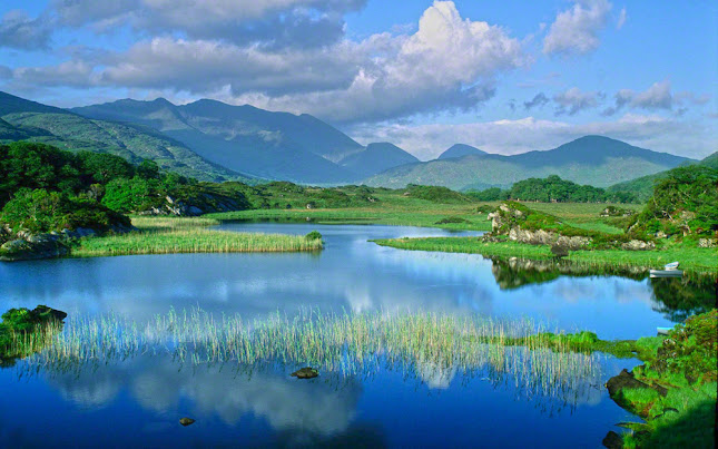 Sheba Media - Barberton