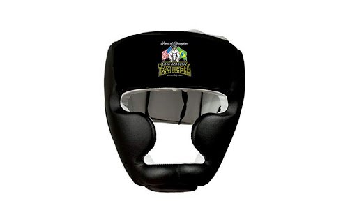 Self Defense School «MMA Academy, Home Of Team Pereira», reviews and photos, 531 Canal St, Reading, PA 19602, USA