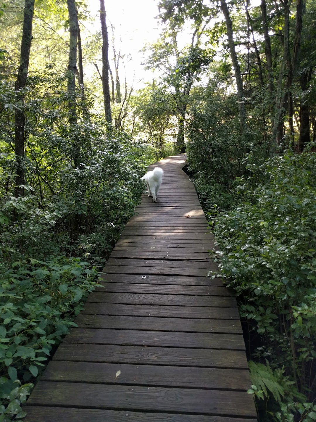 Baker Meadow Reservation