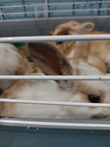 Pet Store «Greenwood Pets & Plants», reviews and photos, 13983 E 9 Mile Rd, Warren, MI 48089, USA