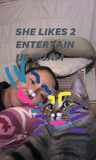 Animal Protection Organization «Humane Society-Black Hills», reviews and photos