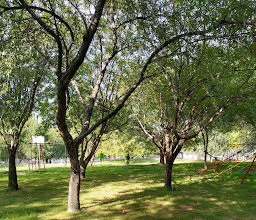 la Peninsula Park photo