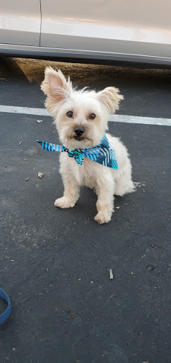 Pet Supply Store «PetSmart», reviews and photos, 5766 Lindero Canyon Rd, Westlake Village, CA 91362, USA