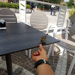 Photo n°2 de l'avis de Alex.i fait le 31/05/2018 à 10:39 sur le  El Cid à Pesaro