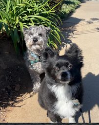 J. Wright Pet Care - Photo 2 - Car repair in San Diego, CA, San Diego