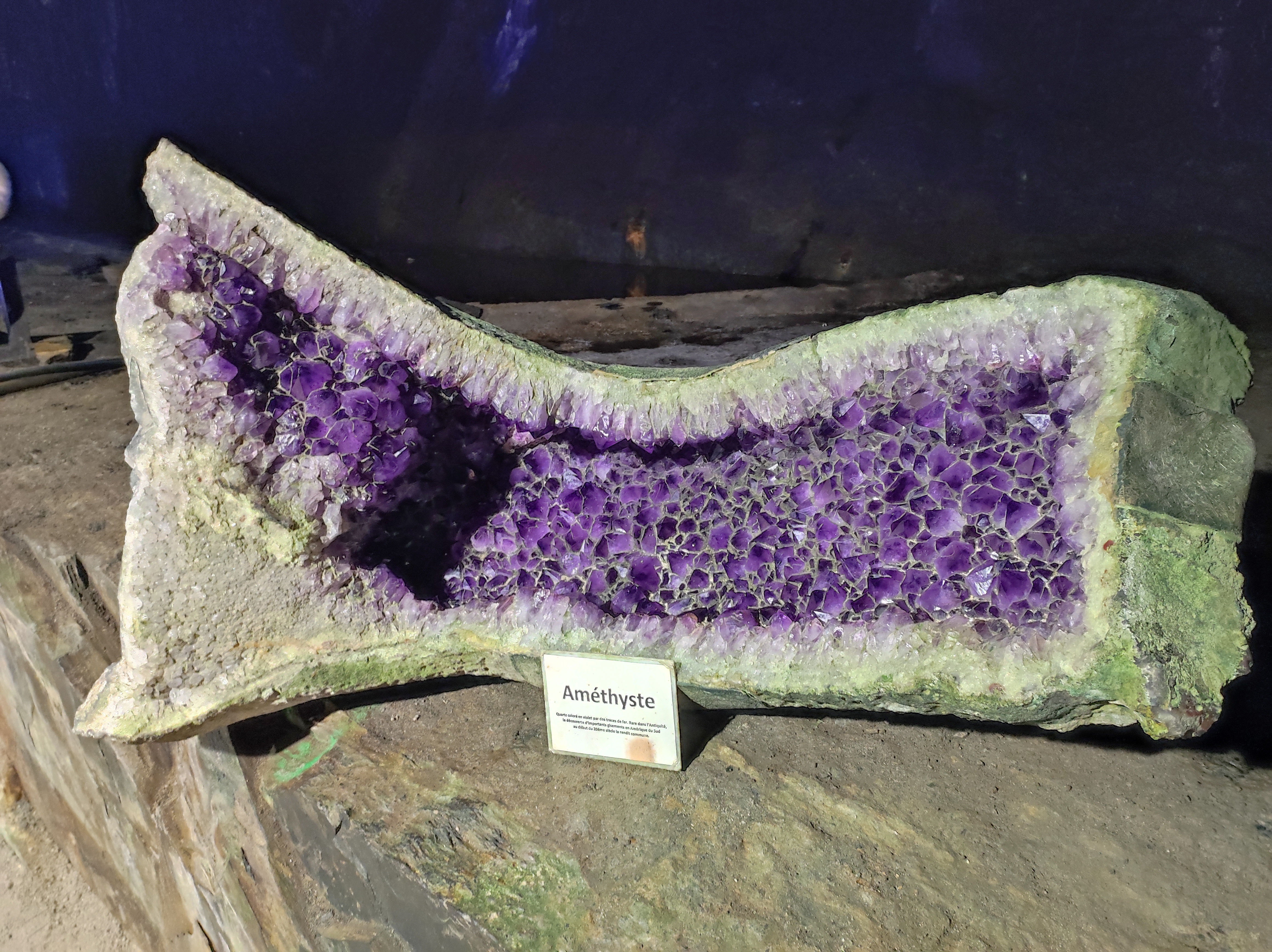 Photo n° 7 de l'avis de MANOLY.r fait le 04/09/2023 à 12:37