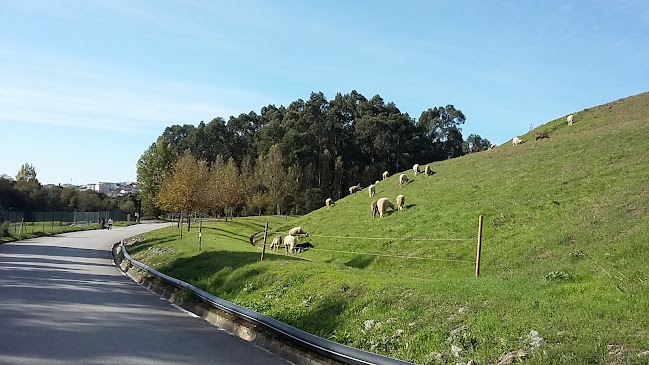 Praceta Paço dos Moínhos 153 3º direito, 4435-736 Baguim do Monte, Portugal