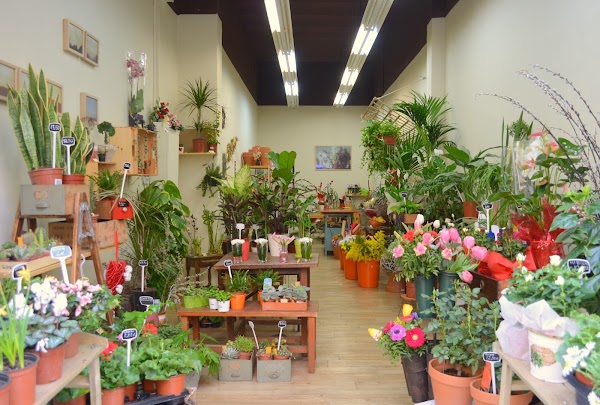 Floristeria Cottage