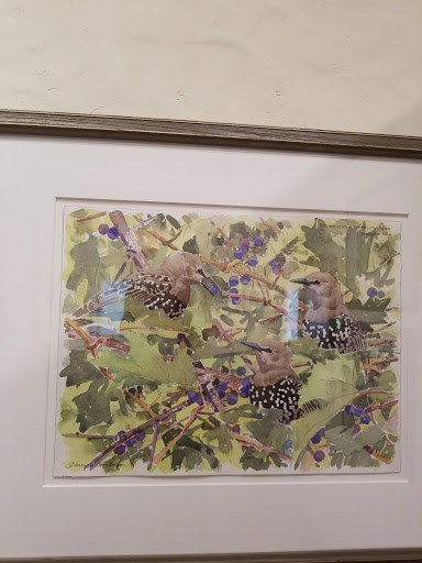 Non-Profit Organization «Museum of American Bird Art at Mass Audubon», reviews and photos, 963 Washington St, Canton, MA 02021, USA