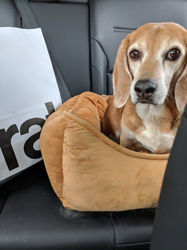 Furniture Store «Crate and Barrel», reviews and photos, 630 Commons Way, Bridgewater, NJ 08807, USA