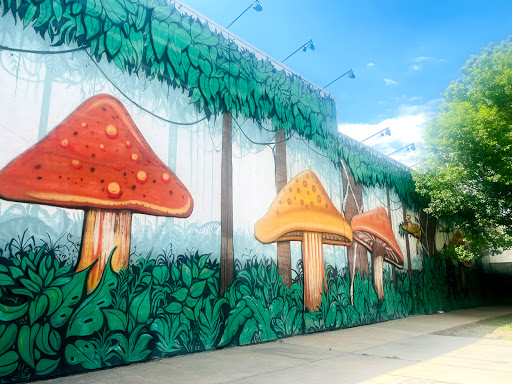 Aquarium «SEA LIFE Grapevine Aquarium», reviews and photos, 3000 Grapevine Mills Pkwy, Grapevine, TX 76051, USA