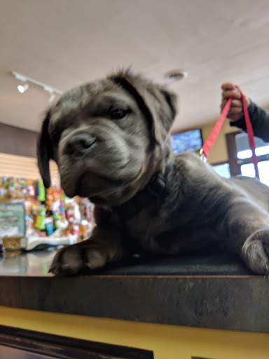 Pet Supply Store «The Healthy Pet», reviews and photos, 2777 Friendly St, Eugene, OR 97405, USA