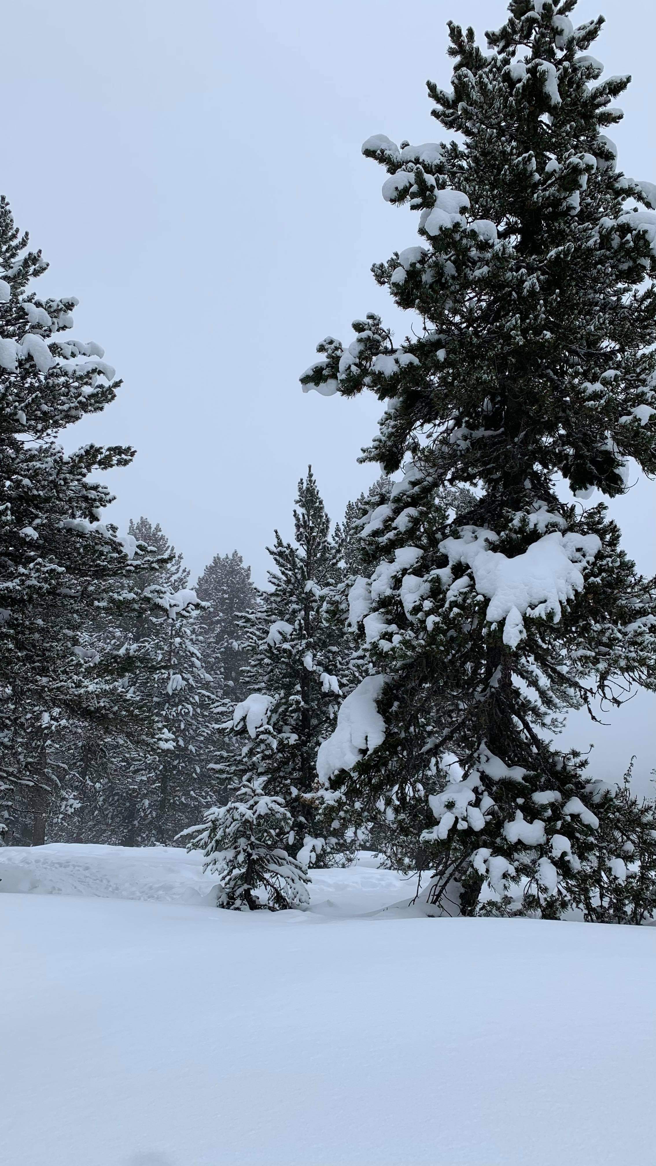 Photo n° 2 de l'avis de Matéo.a fait le 24/01/2021 à 15:35