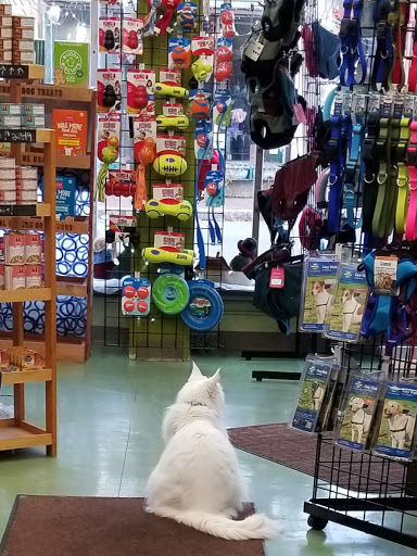Pet Supply Store «Animal Krackers Inc», reviews and photos, 232 Main St, Gloucester, MA 01930, USA