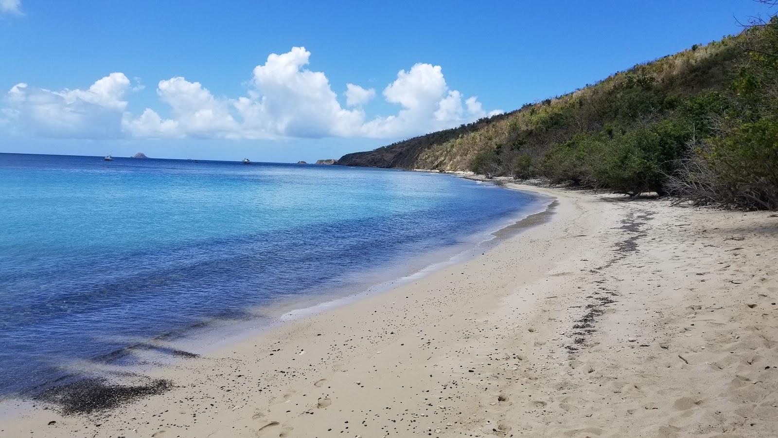 Foto von Playa Carlos Rosario wilde gegend