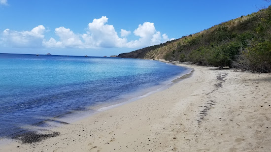 Playa Carlos Rosario