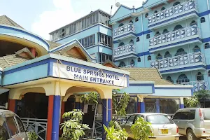 Blue Springs Hotel image