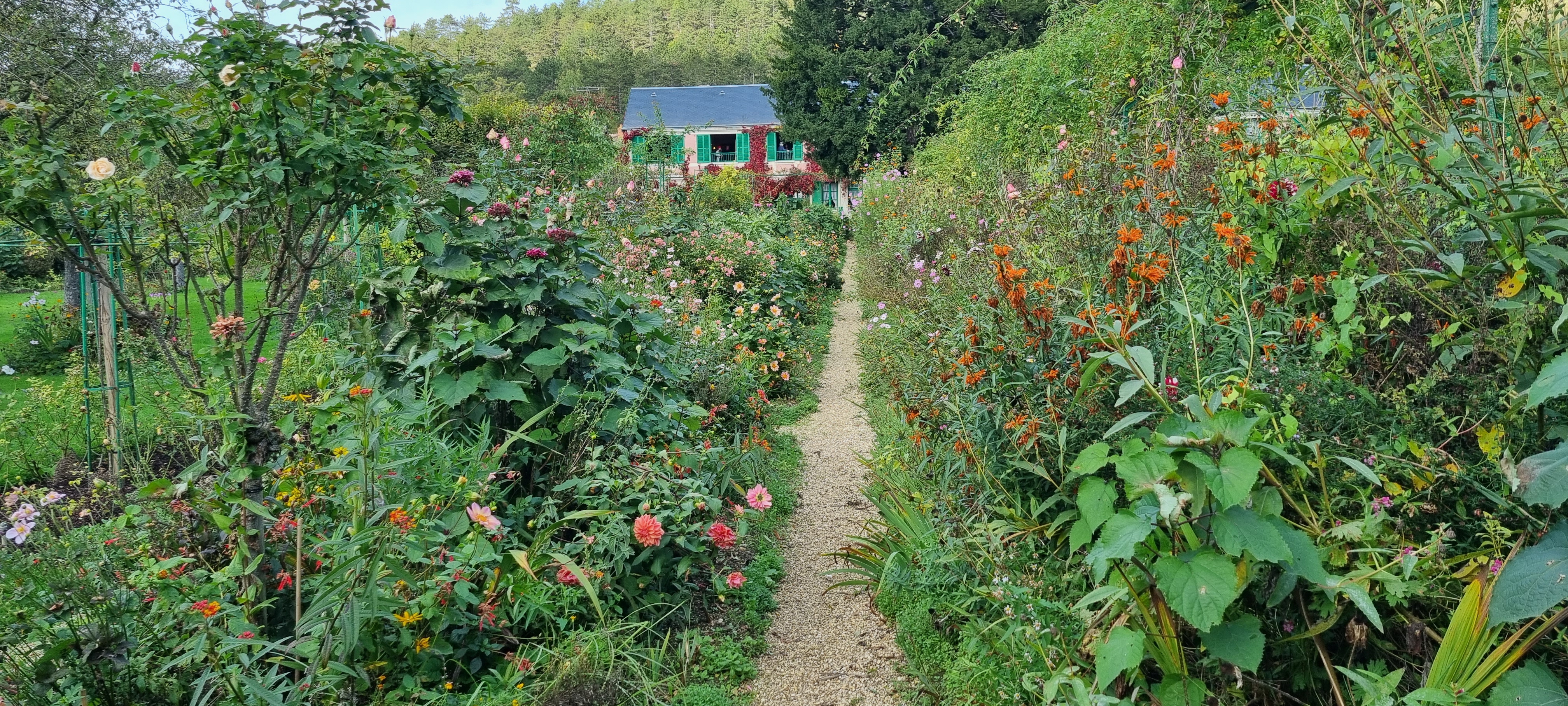 Photo n° 34 de l'avis de lemagicien40. fait le 03/11/2023 à 07:28