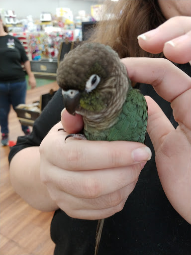 Pet Store «Pet Supermarket», reviews and photos, 4270 Bee Ridge Rd, Sarasota, FL 34233, USA