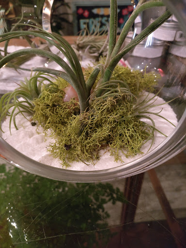 Florist «Snapdragon Flowers and Gifts», reviews and photos, 5015 Baltimore Ave, Philadelphia, PA 19143, USA